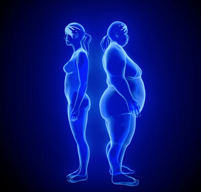 Phil Richards - The Science of Fat Loss